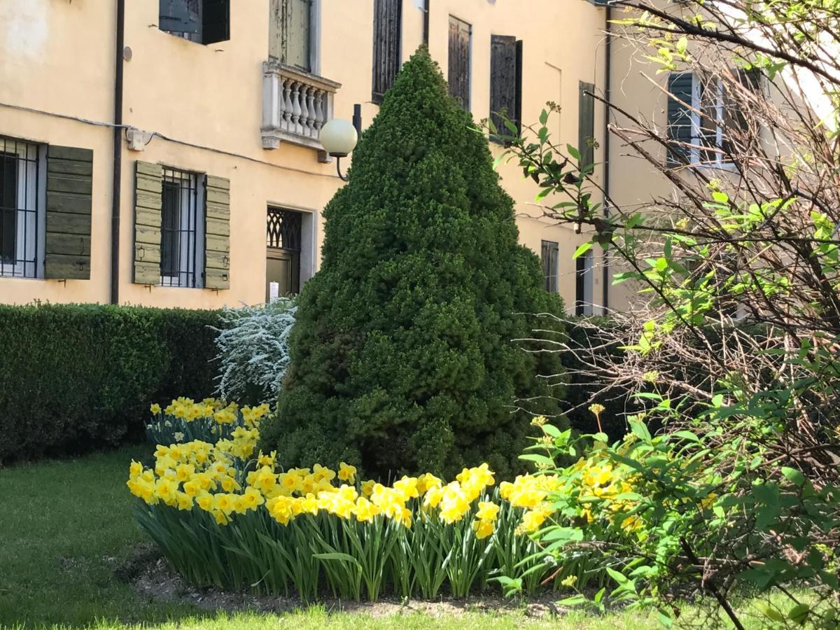 Catoo Dimora Di Design Park In Palazzo Nobiliare Al Duomo Apartamento Pádua Exterior foto