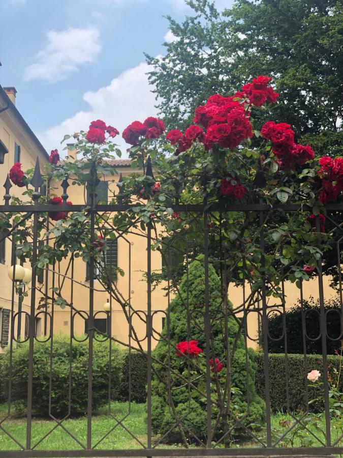 Catoo Dimora Di Design Park In Palazzo Nobiliare Al Duomo Apartamento Pádua Exterior foto